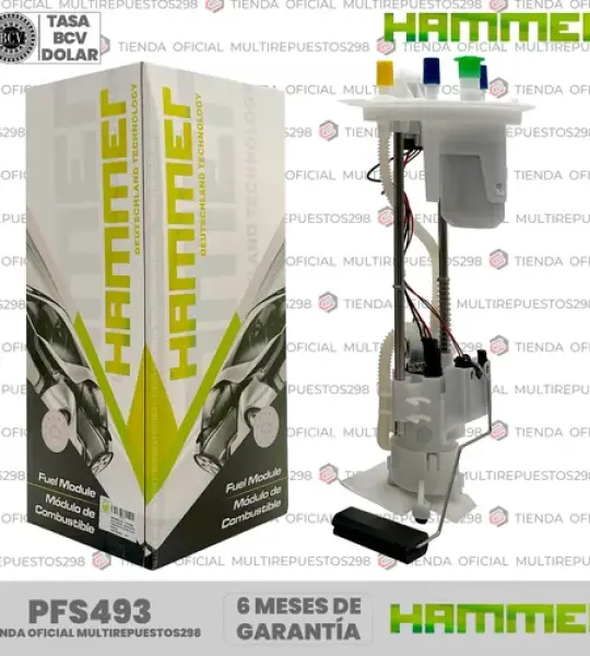 MODULO GASOLINA HAM PFS493 FX4 5.4 05-08 4 PICOS