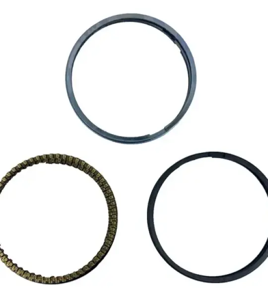ANILLOS MAHLE PEUGEOT 206/207 04002V0